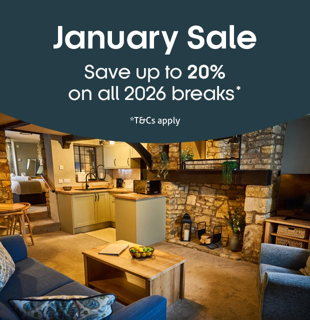 2026 January Sale now on!
